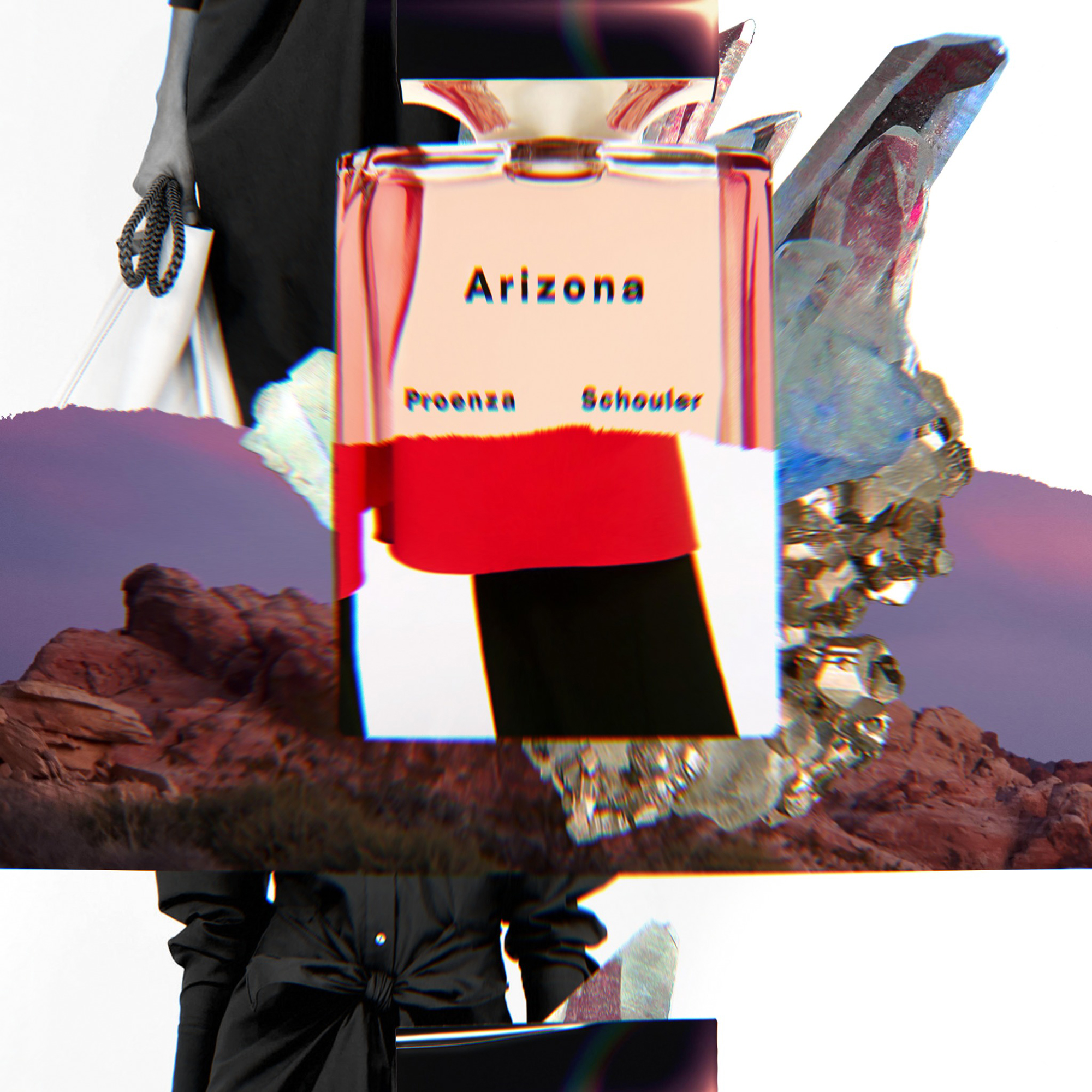 Proenza Schouler x Arizona Rosanna Webster Hugo Marie